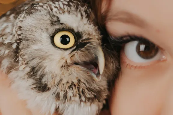 Casino AllStar Slots Supporto